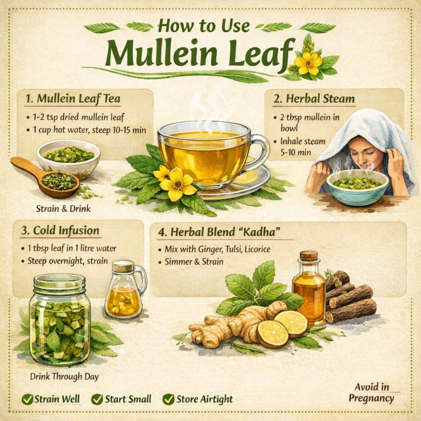 Illustration on how to use mullein leaf with tea, steam, infusion, and blend methods.