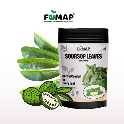 Dried Soursop Leaf (Annona muricata) – Natural Herbal Leaves 50gm
