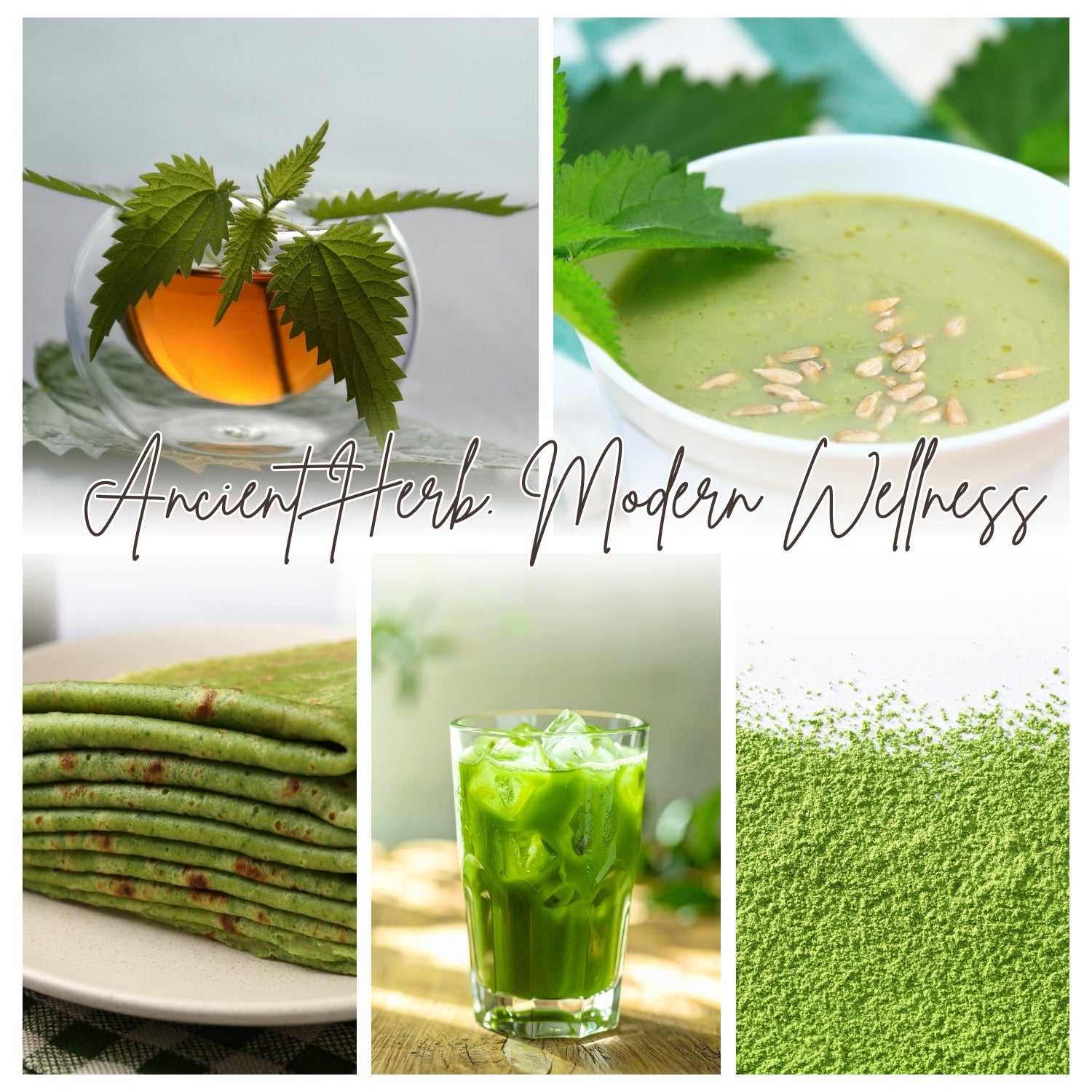 Collage of green-themed images with text 'Ancient Herb, Modern Wellness'.