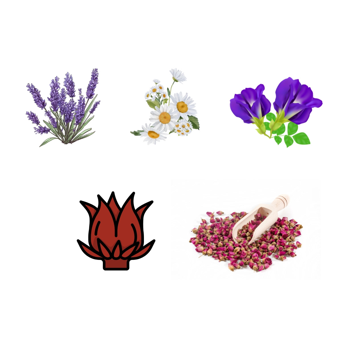 FEMAP Flower Tea Ingredients – Lavender, Chamomile, Butterfly Pea, Hibiscus, and Rose buds used in herbal flower teas for health and wellness.