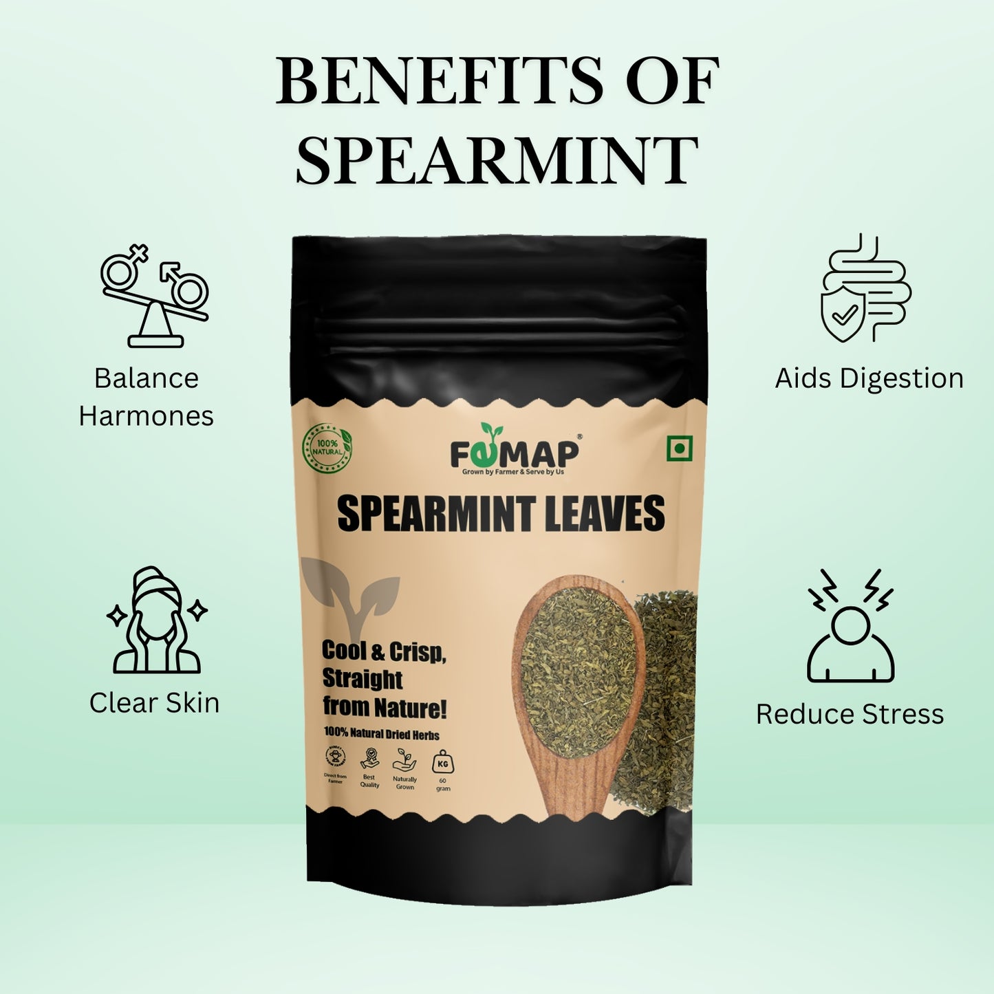 FEMAP Spearmint Leaves – versatile 100g pouch of dried herbs, ideal for tea, cooking, and natural remedies.