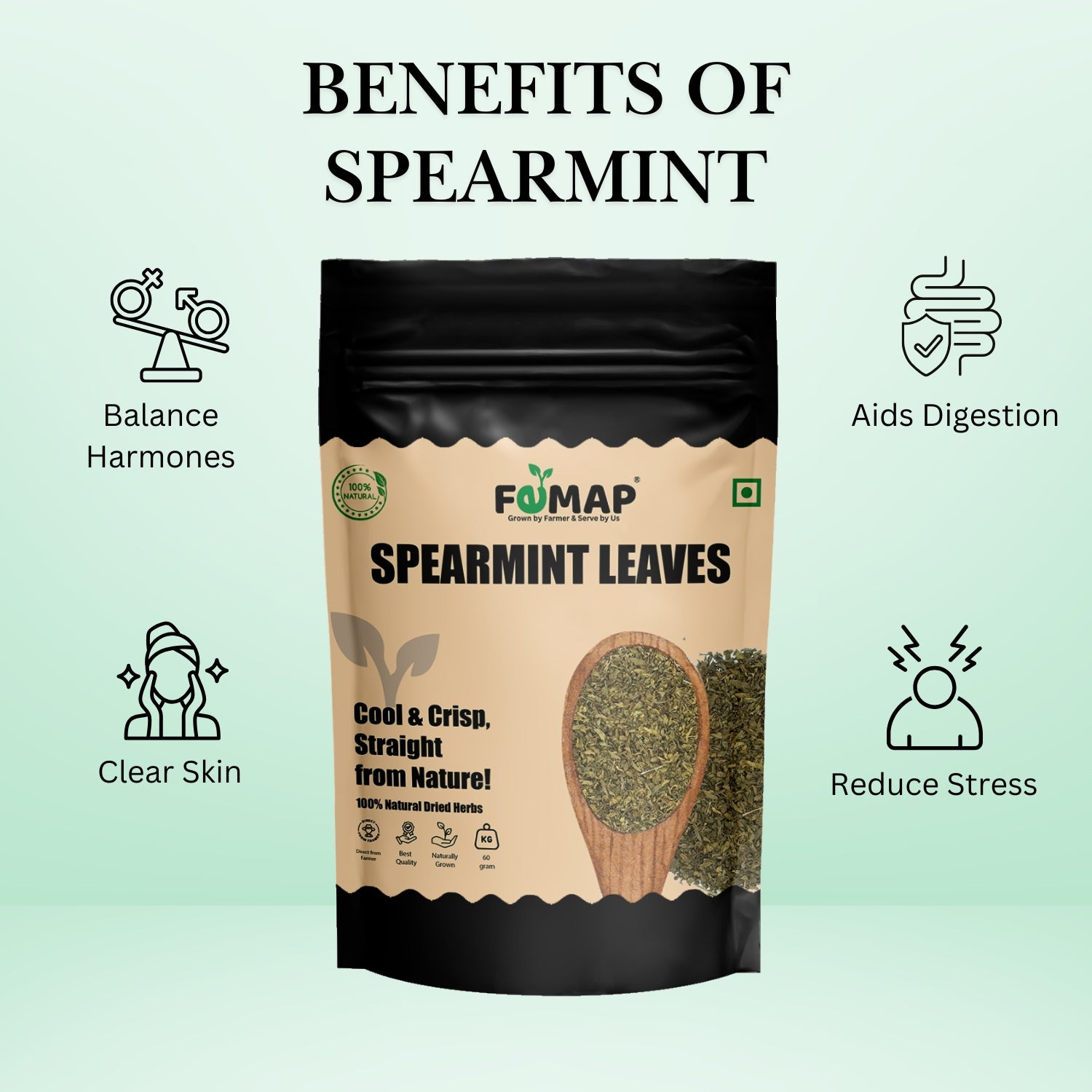 FEMAP Spearmint Leaves – versatile 100g pouch of dried herbs, ideal for tea, cooking, and natural remedies.
