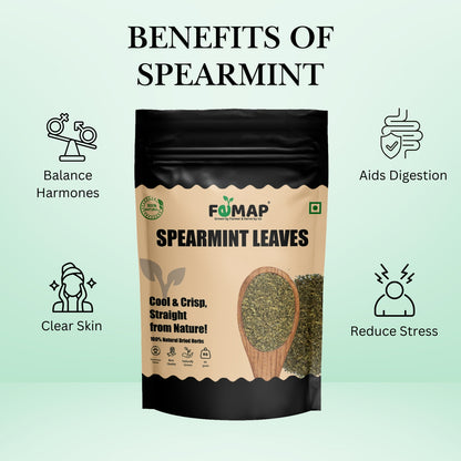 FEMAP Spearmint Leaves – versatile 100g pouch of dried herbs, ideal for tea, cooking, and natural remedies.