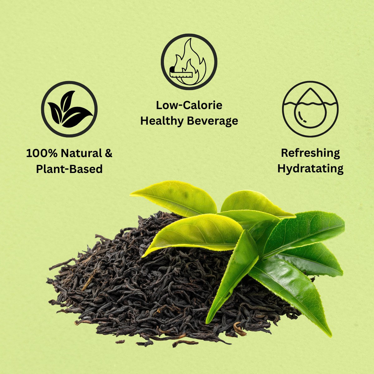 Premium Green Tea Leaves 100% Natural | Loose Leaf Green Tea | Rich in Antioxidants | Refreshing Herbal Beverage | No Additives | FEMAP