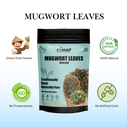 Dried Mugwort Leaf (Artemisia vulgaris) – Natural Herbal Leaves 50gm