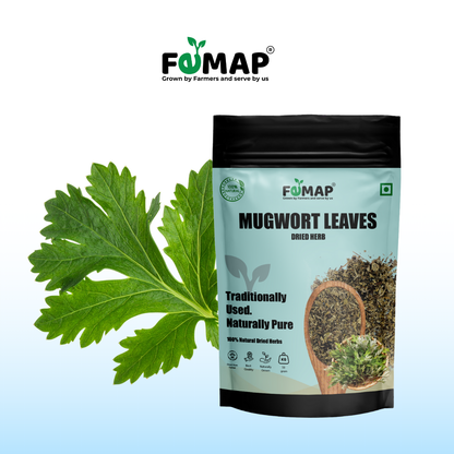 Dried Mugwort Leaf (Artemisia vulgaris) – Natural Herbal Leaves 50gm