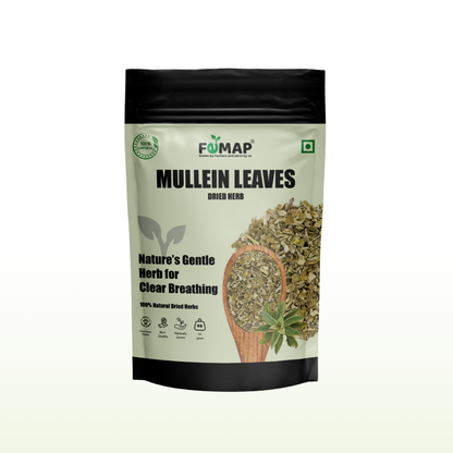Dried Mullein Tulsi Leaves (Ocimum canum) – Pure Natural Herbal Leaves 50gm