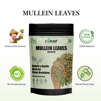 Dried Mullein Tulsi Leaves (Ocimum canum) – Pure Natural Herbal Leaves 50gm