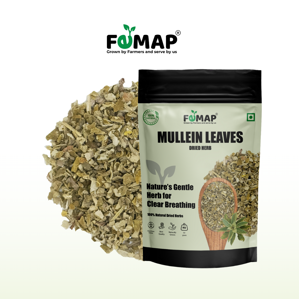Dried Mullein Tulsi Leaves (Ocimum canum) – Pure Natural Herbal Leaves 50gm