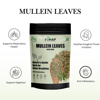 Dried Mullein Tulsi Leaves (Ocimum canum) – Pure Natural Herbal Leaves 50gm
