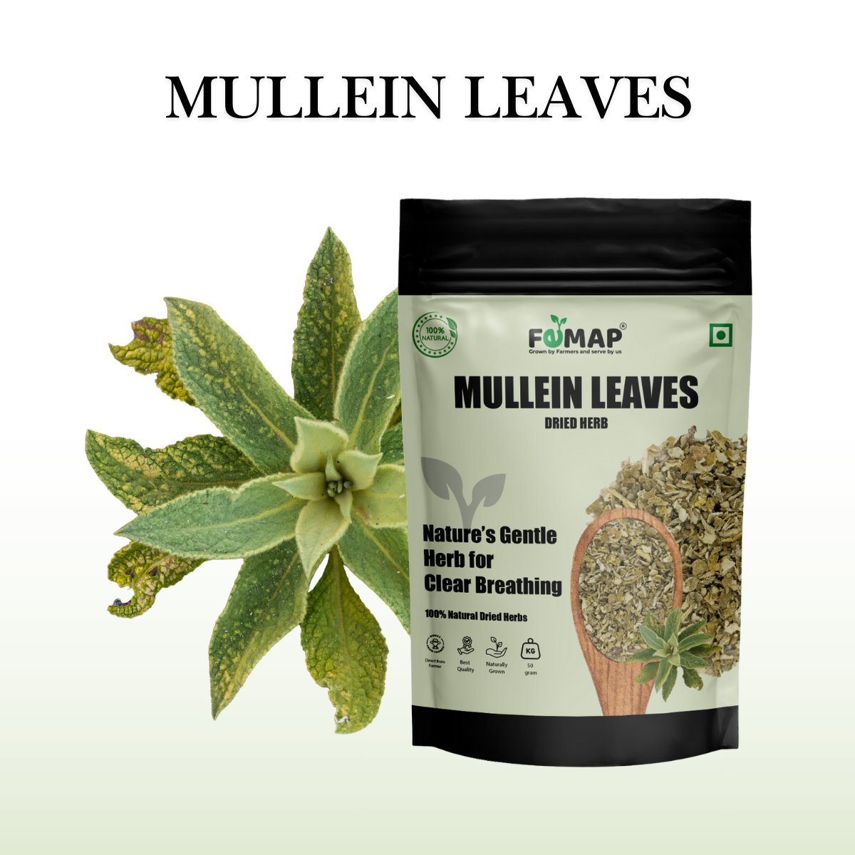 Dried Mullein Tulsi Leaves (Ocimum canum) – Pure Natural Herbal Leaves 50gm