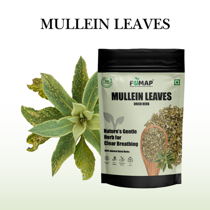 Dried Mullein Tulsi Leaves (Ocimum canum) – Pure Natural Herbal Leaves 50gm