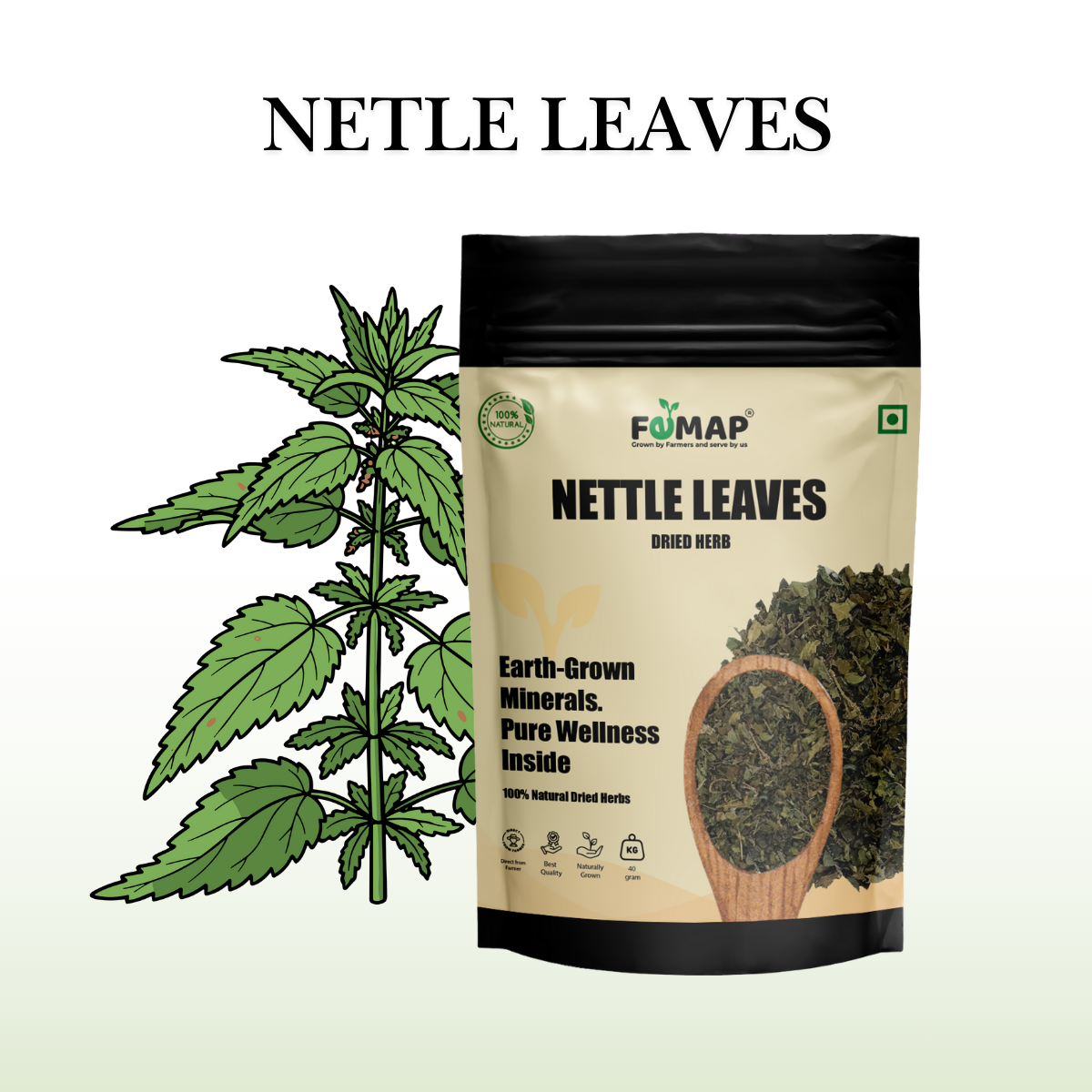 Dried Nettle Leaf (Urtica dioica) – Natural Herbal Leaves 40gm