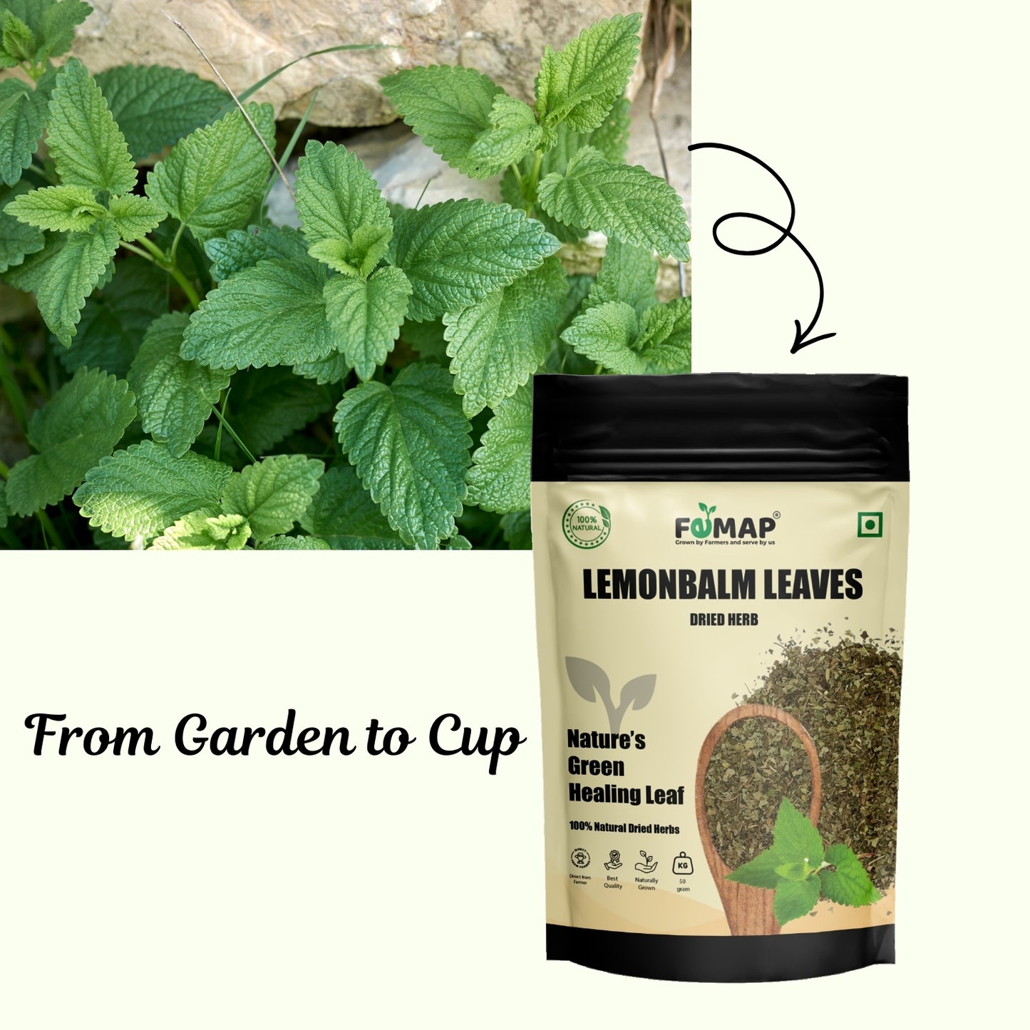 FEMAP lemonbalm leaves packaging with a plant background