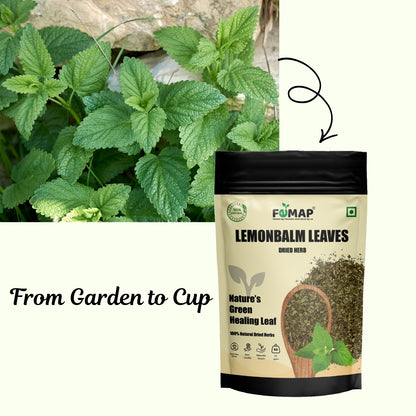 FEMAP lemonbalm leaves packaging with a plant background