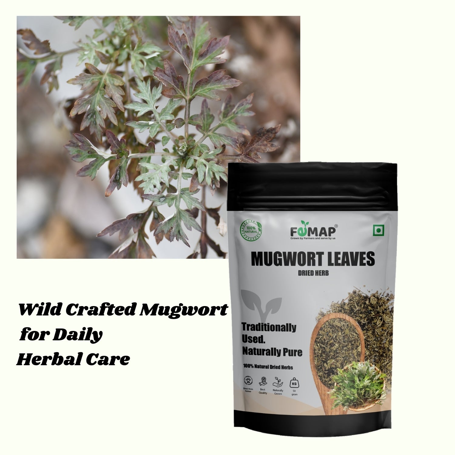 FEMAP mugwort leaves packaging with mugwort plant on a white background
