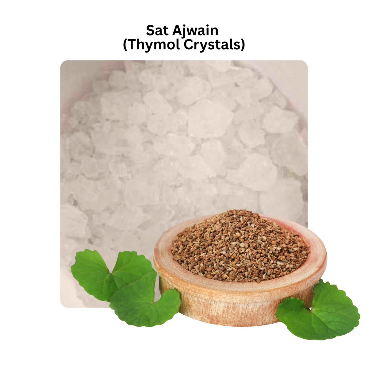 Sat Ajwain thymol crystals with a bowl of ajwain seeds and mint leaves, natural digestive and respiratory support