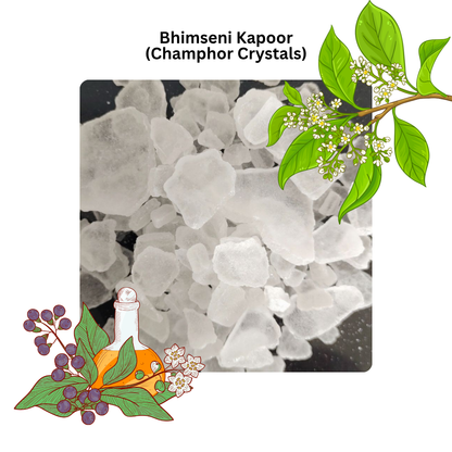 Bhimseni Kapoor - pure camphor crystals with camphor plant leaves and flowers, natural Ayurvedic ingredient by FEMAP