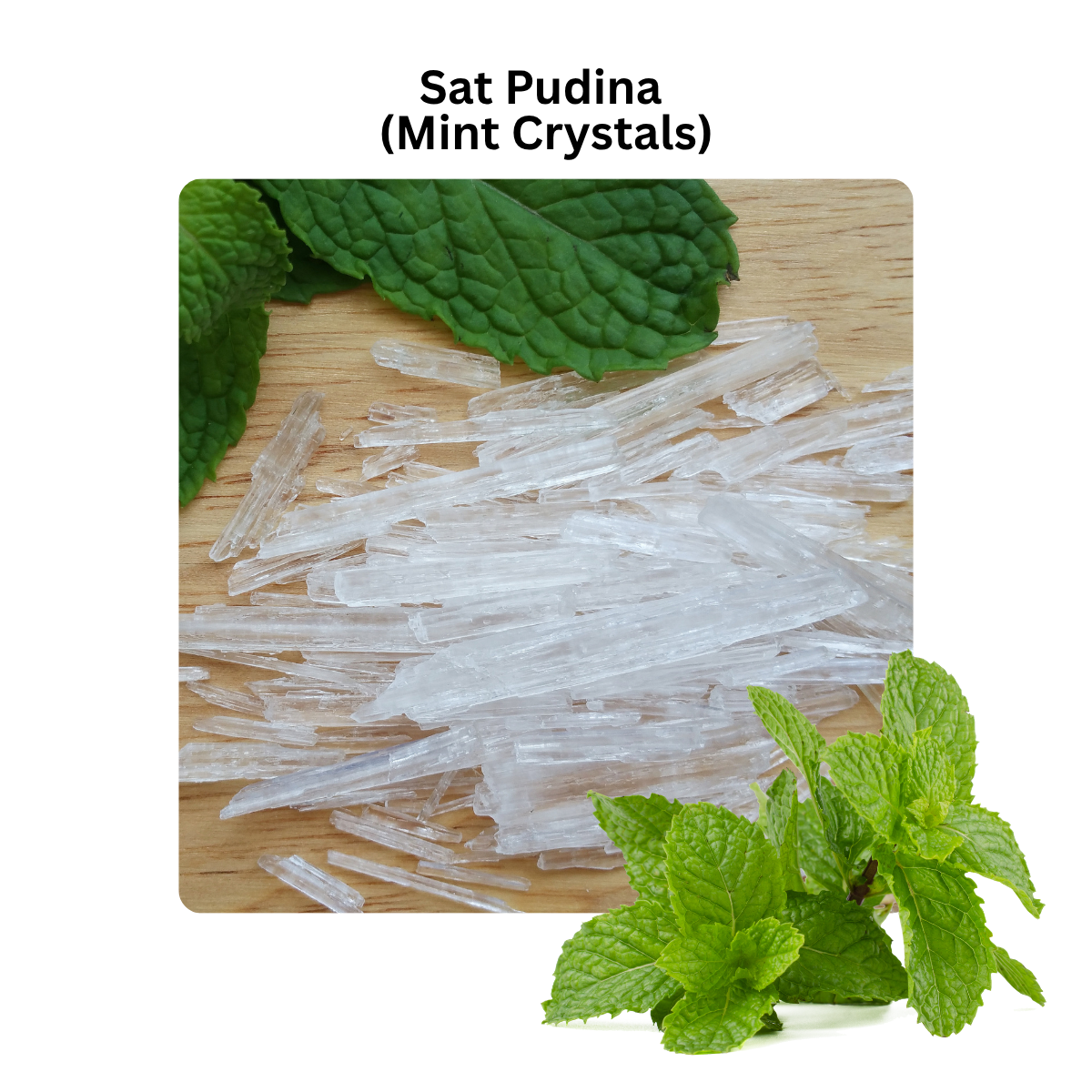 Sat Pudina pure menthol crystals with fresh mint leaves on wooden surface, natural mentha arvensis extract