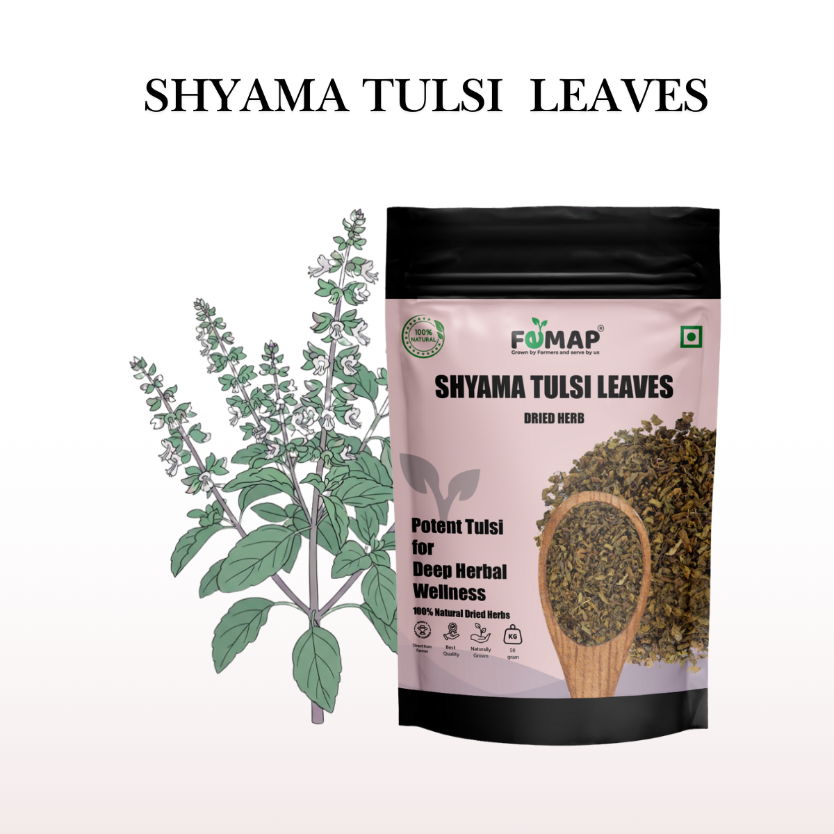 Dried Krishna/ Shyma Tulsi Leaf (Ocimum tenuiflorum) – Natural Herbal Leaves 50gm