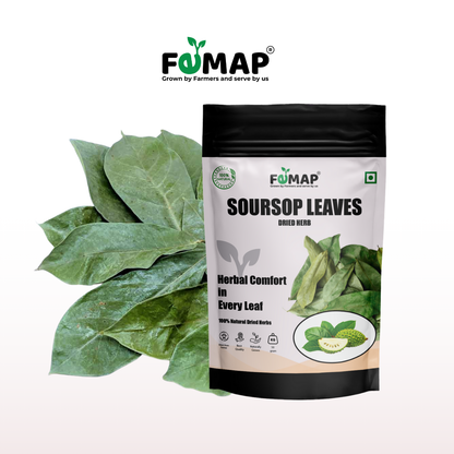 Dried Soursop Leaf (Annona muricata) – Natural Herbal Leaves 50gm