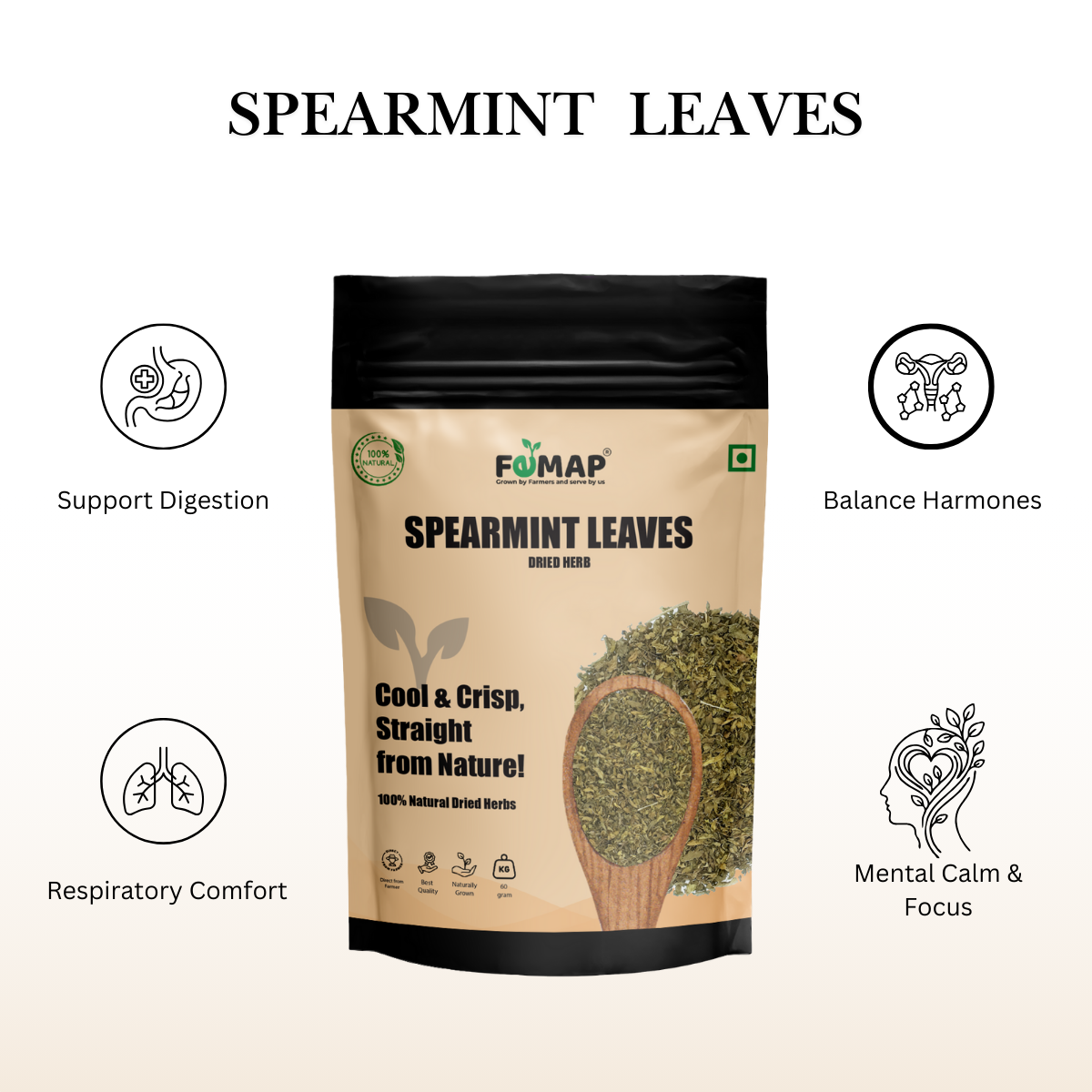 Dried Spearmint Leaves (Mentha spicata) – 60 g | 100% Pure Herb
