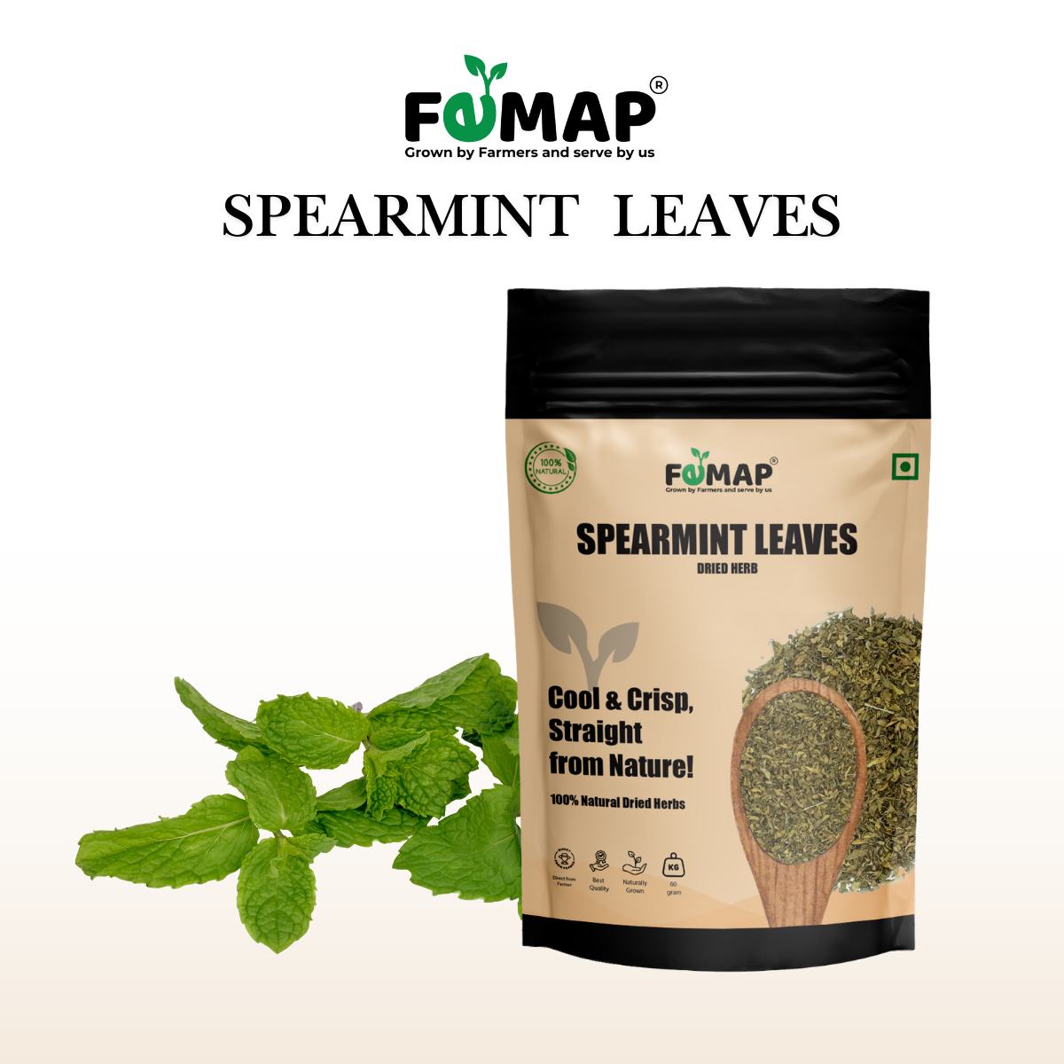 Dried Spearmint Leaves (Mentha spicata) – 60 g | 100% Pure Herb