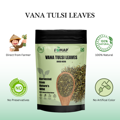Dried Vana Tulsi Leaves (Ocimum gratissimum) – Pure Natural Herbal Leaves 50gm