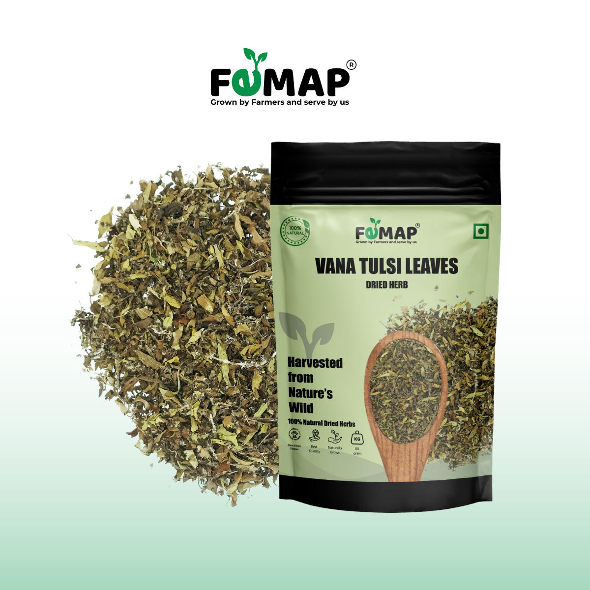 Dried Vana Tulsi Leaves (Ocimum gratissimum) – Pure Natural Herbal Leaves 50gm