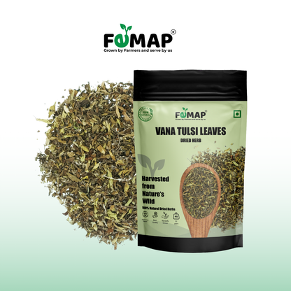 Dried Vana Tulsi Leaves (Ocimum gratissimum) – Pure Natural Herbal Leaves 50gm