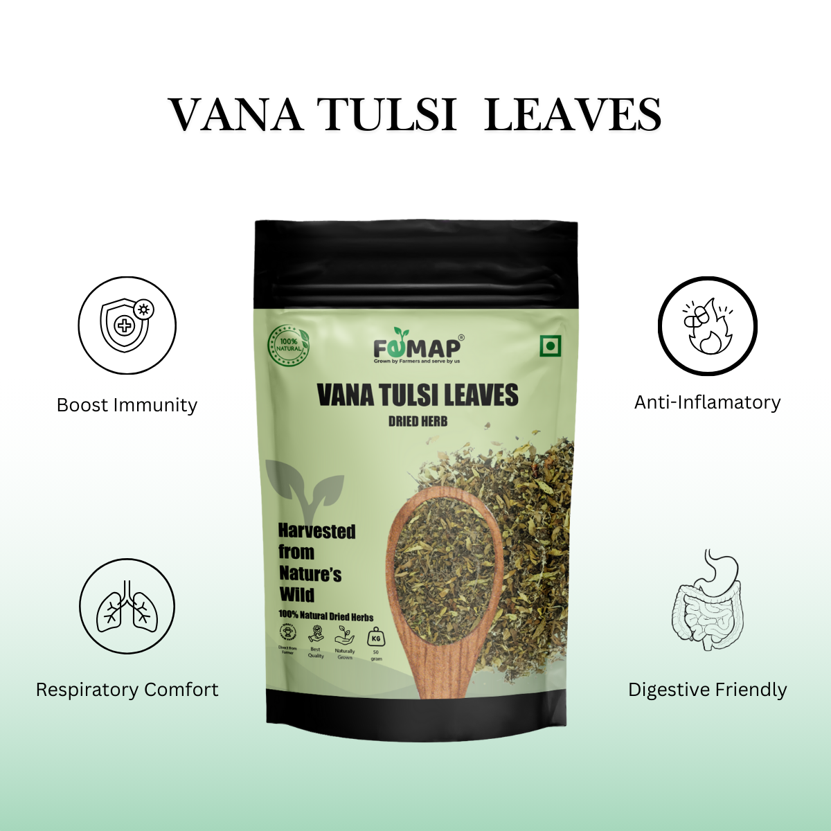 Dried Vana Tulsi Leaves (Ocimum gratissimum) – Pure Natural Herbal Leaves 50gm