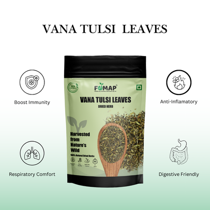 Dried Vana Tulsi Leaves (Ocimum gratissimum) – Pure Natural Herbal Leaves 50gm