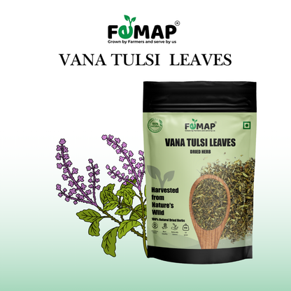 Dried Vana Tulsi Leaves (Ocimum gratissimum) – Pure Natural Herbal Leaves 50gm